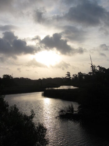 Pine Gully Park at Sunrise very small.JPG