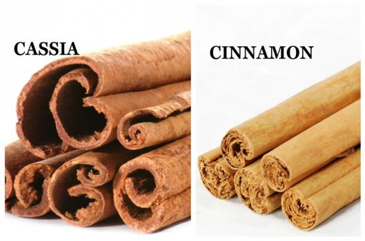 CINNAMON12.jpg