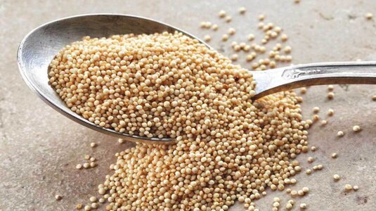 amaranth-on-spoon-1296x728.jpg