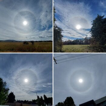 Sunhalo