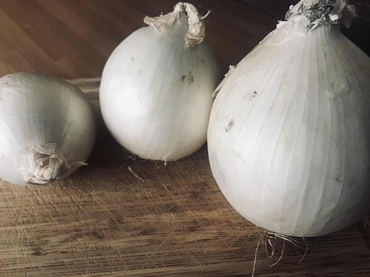 Onions Family.jpeg